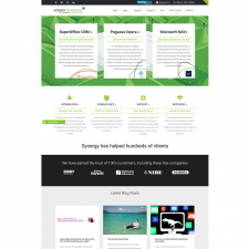 Synergy Technology