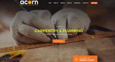 Acorn ECP