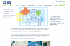 Global Surface Intelligence