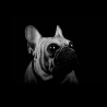 Winston