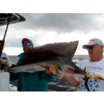 Captain Dawn's - New Choice Charters